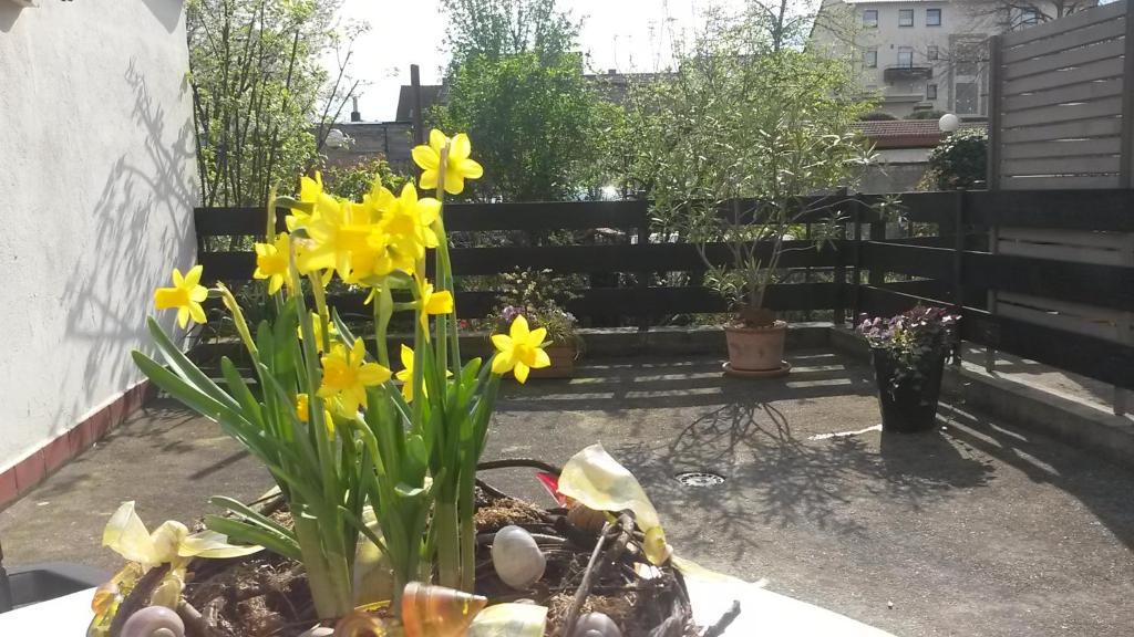 einen Garten mit gelben Blumen in einem Korb in der Unterkunft Eulennest-lu in Ludwigshafen am Rhein