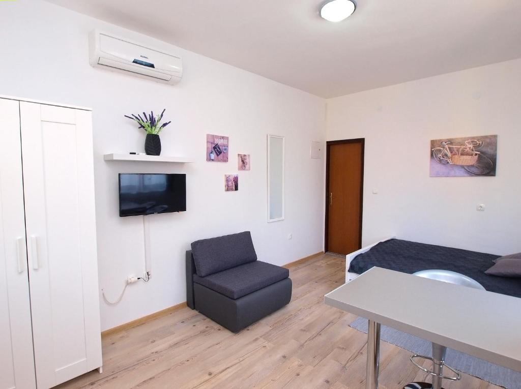 TV a/nebo společenská místnost v ubytování Apartments Drago 589