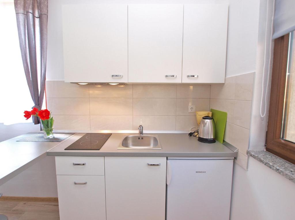 Kuchyň nebo kuchyňský kout v ubytování Apartments Drago 589