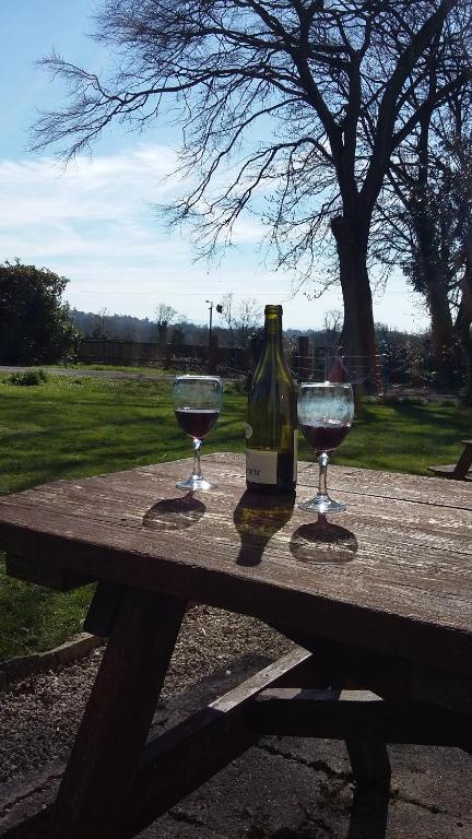 Una botella de vino y dos copas en una mesa de picnic. en Rings Coach House Retreat, en Carlow