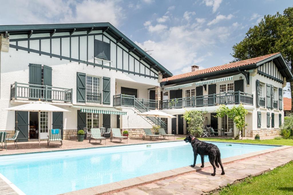 un chien debout à côté d'une piscine en face d'une maison dans l'établissement Golfetmer, à Saint-Jean-de-Luz