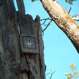 Fotografie z fotogalerie ubytování L'Annexe Plaisance - Hôtel Non Climatisé v destinaci Saint-Maximin-la-Sainte-Baume