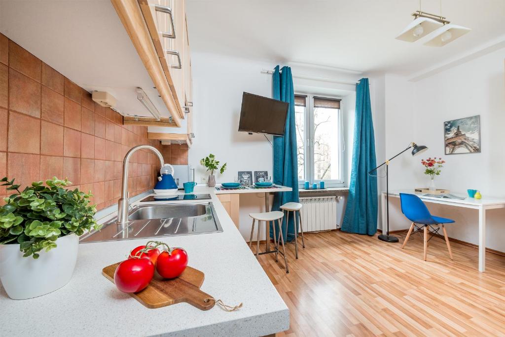 kuchnia z blatem z pomidorami w obiekcie P&O Apartments Waszyngtona w Warszawie