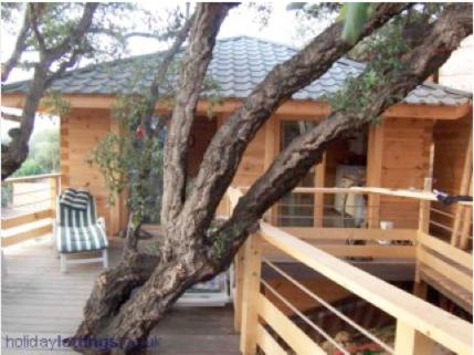 a cabin with a tree on a wooden deck at Albaria Lodge in Saint-Florent