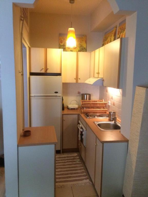 Kuchyň nebo kuchyňský kout v ubytování Flat31