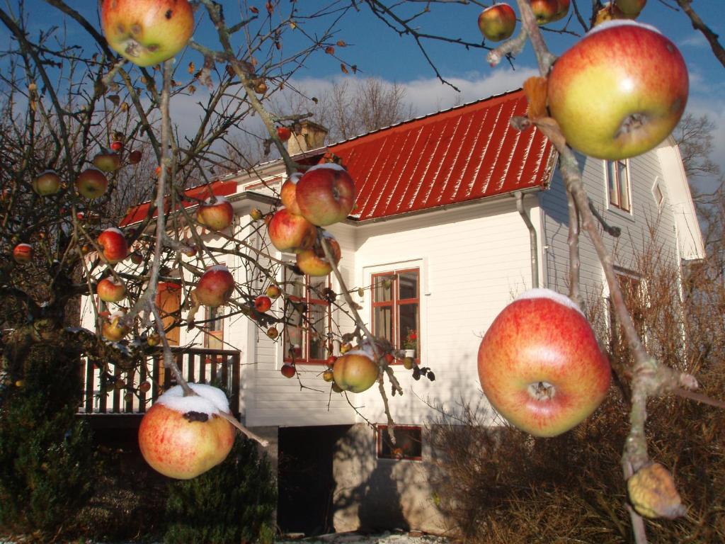 Budova, kde se bed and breakfast nachází