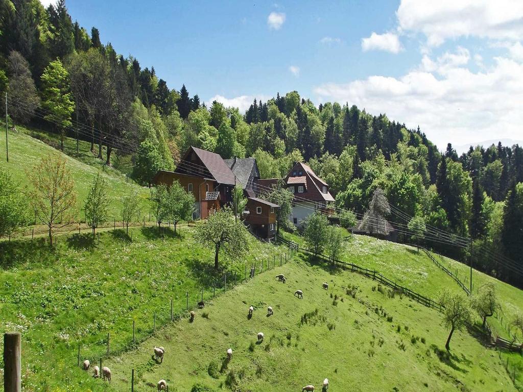 a herd of sheep grazing in a field next to a house at Grundhof in Stegen