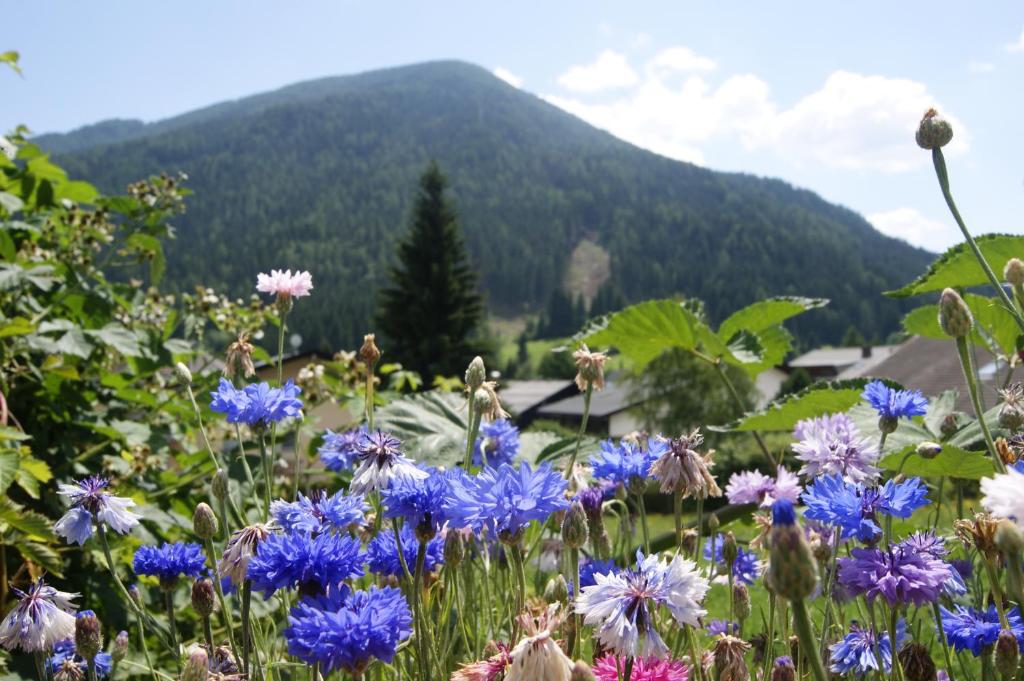 Das Sonnenheim Hotel und Garni - 10