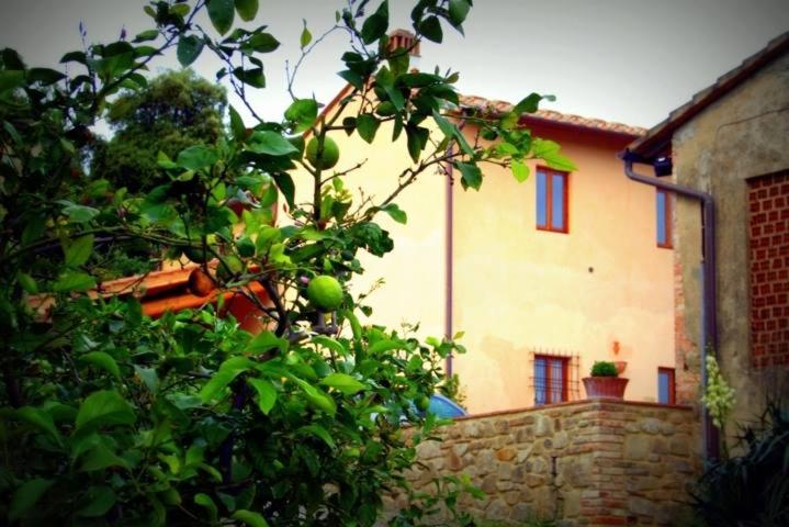 a house with a tree in front of a building at Francesca Apartment in Montelupo Fiorentino