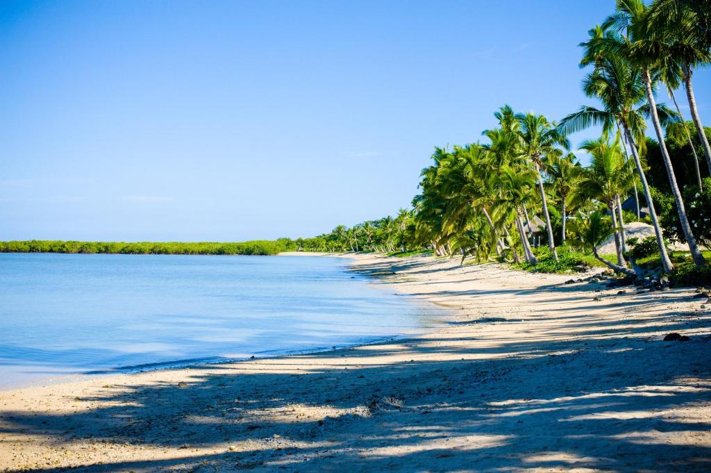 a beach with palm trees and the water at First Landing Beach Resort & Villas in Lautoka