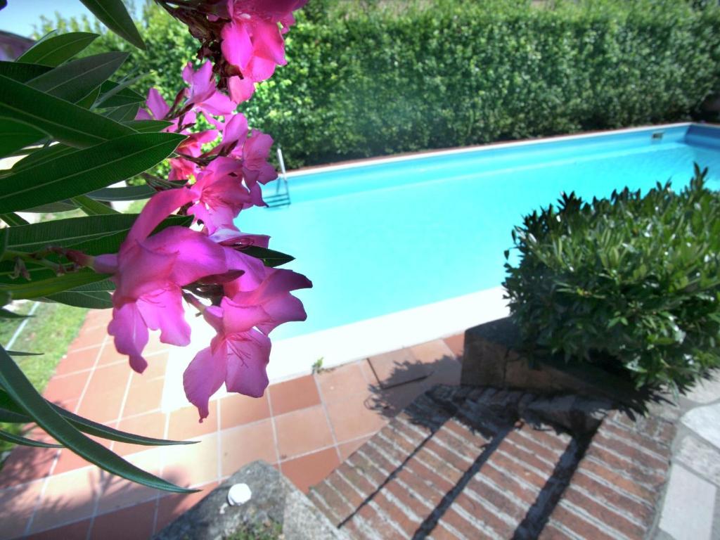 a purple flower next to a swimming pool at Belvilla by OYO Villa Melina in Desenzano del Garda