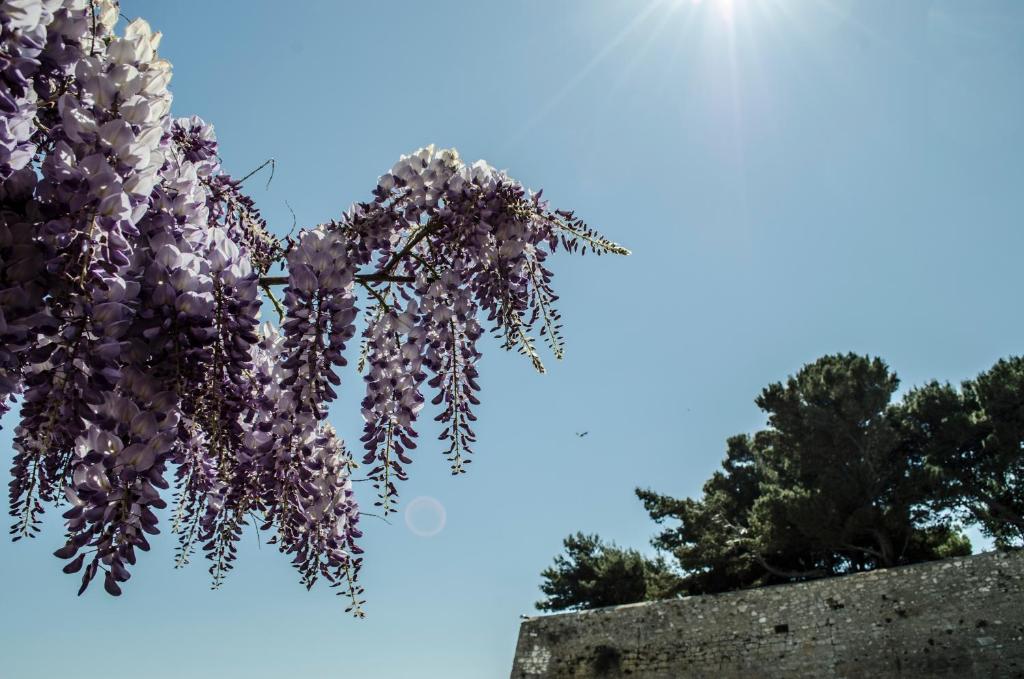 Fotografie z fotogalerie ubytování Torre La Mezzaluna ve Vieste