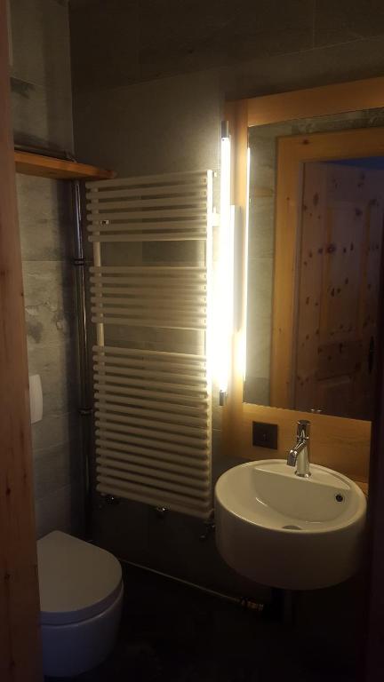 Koupelna v ubytování Relaxing confortable studio, heated garage, skiroom