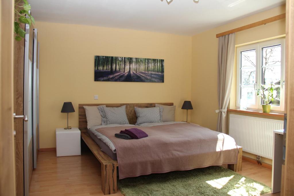 ザルツブルクにあるApartment Kleßheimのベッドルーム1室(大型ベッド1台付)