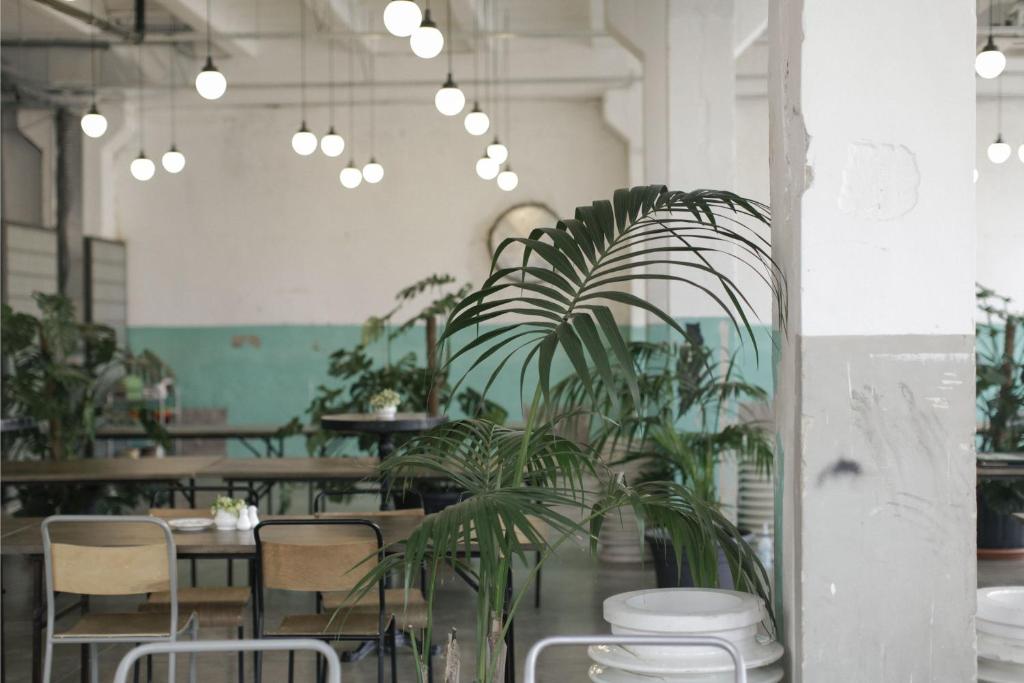 Restaurace v ubytování Fabrika Hostel & Suites