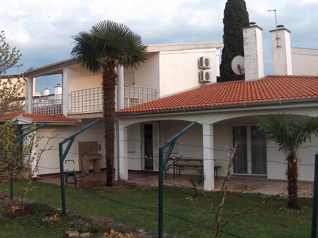 a house with a palm tree in the yard at Guest House Mareda Palms in Novigrad Istria