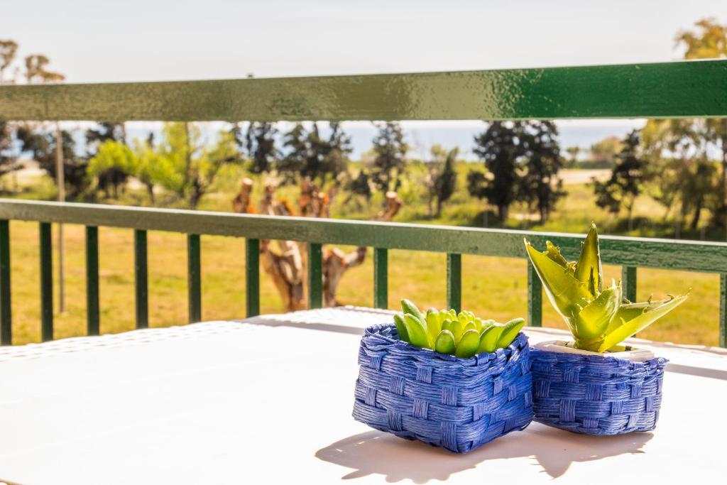 deux paniers bleus avec des plantes sur une table avec une girafe dans l'établissement Studio Coral View, à Giardini Naxos
