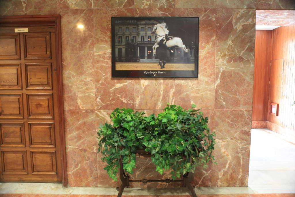 Fotografie z fotogalerie ubytování Hotel El Coloso v destinaci Jerez de la Frontera