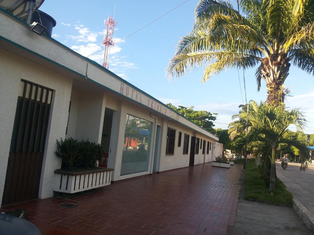 budynek z palmami przed nim w obiekcie Hotel Orinoco Real w mieście Inírida