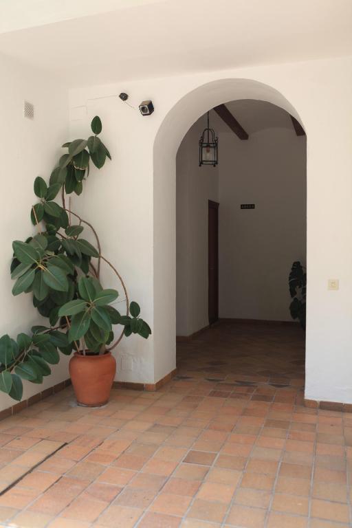 Fotografie z fotogalerie ubytování Hotel El Coloso v destinaci Jerez de la Frontera