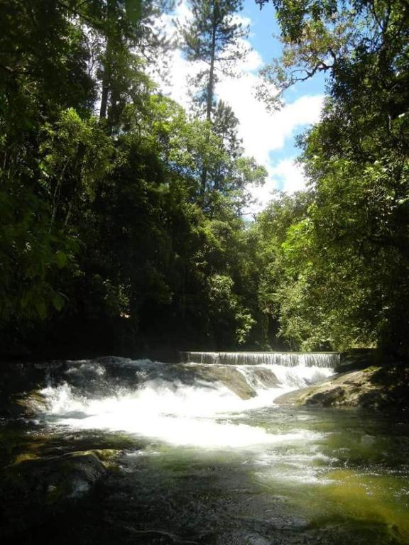  Chalé Truta da Floresta