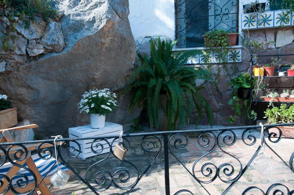 A balcony or terrace at Addumari