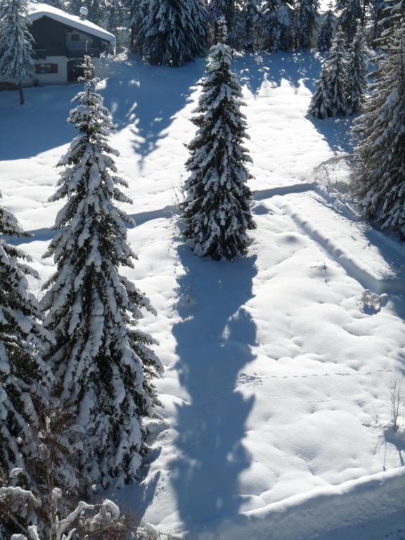 Rifugio Di Pace v zime