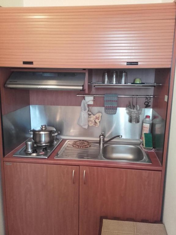 Hotel Fotini - Студия с Террасой