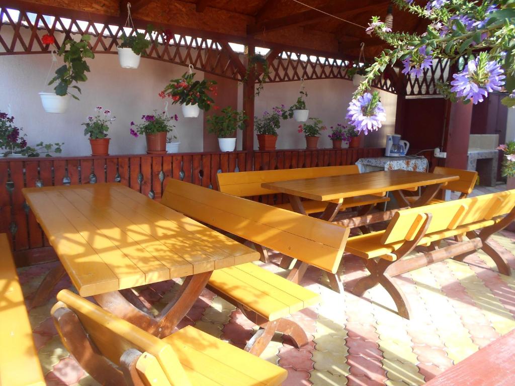 Gallery image of Vila MariCris in Tuzla