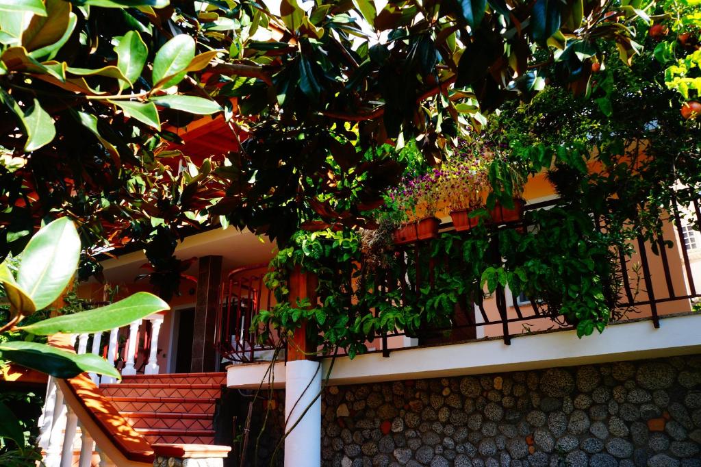 Balkón nebo terasa v ubytování Hotel Maremonti