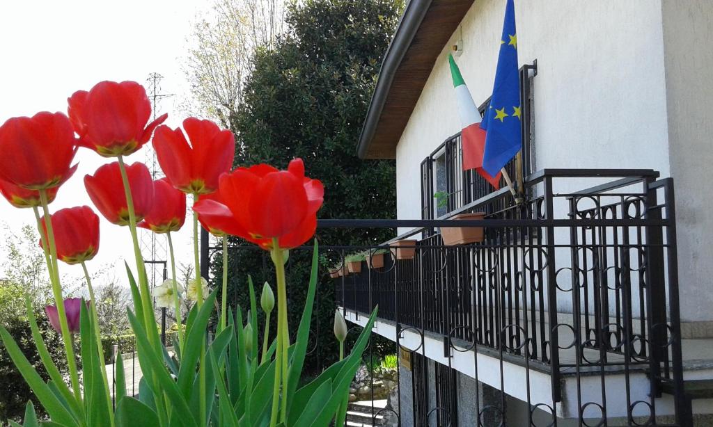 Zahrada ubytování B&B Villa Mirella
