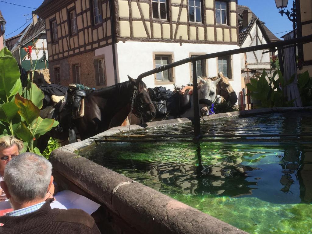 Auberge du Rempart – photo 26