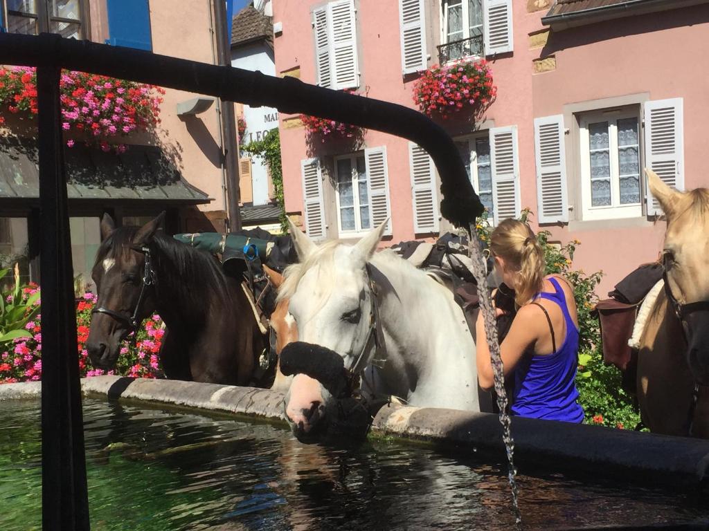 Auberge du Rempart – photo 25