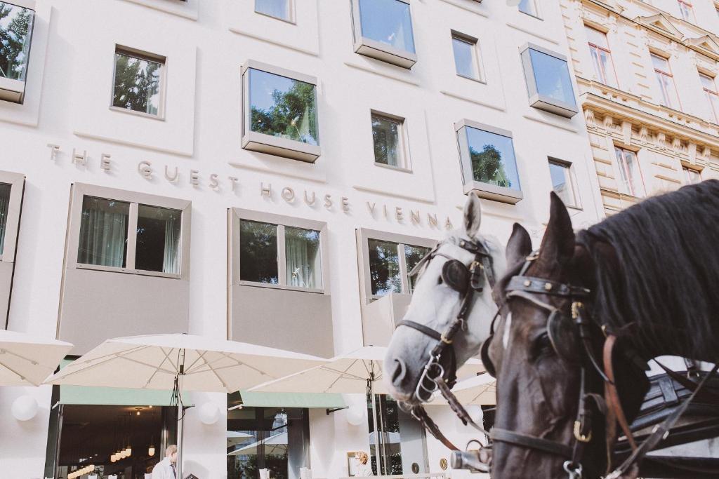 een standbeeld van een paard voor een gebouw bij The Guesthouse Vienna in Wenen