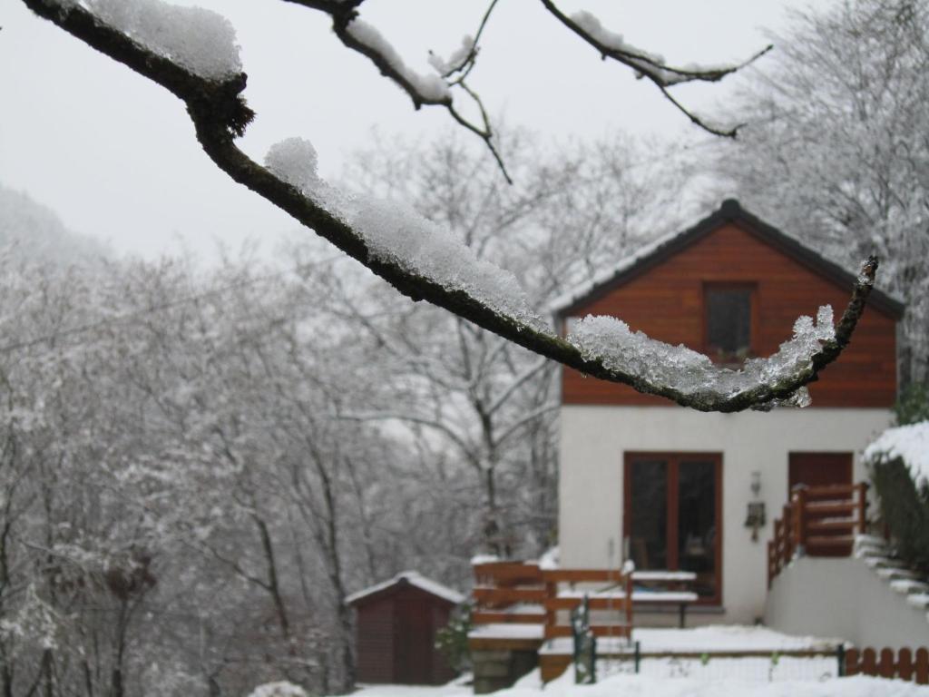 Holiday Home in Sougné-Remouchamps Countryside v zimě