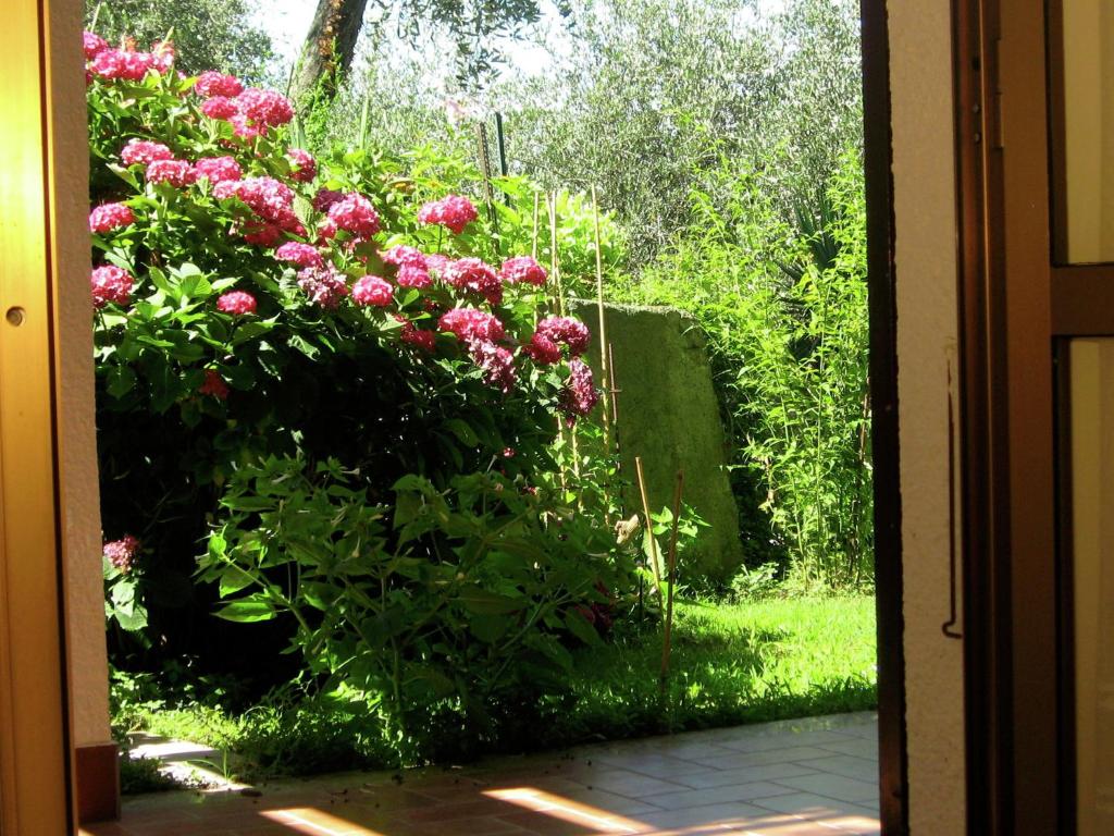 Ogród w obiekcie Villa in Moneglia near the Sea and Hillside