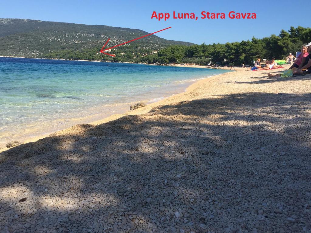a view of a beach with a kite in the sky at Apartment Luna in Cres