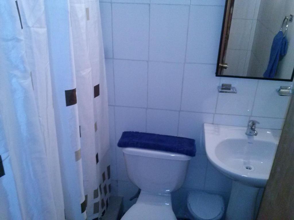 Koupelna v ubytování Cabañas Aliwen