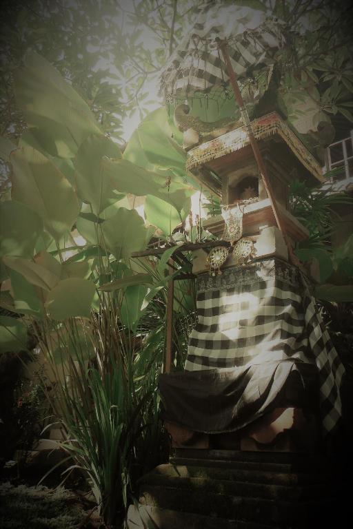 Sunshine Bungalows - 1