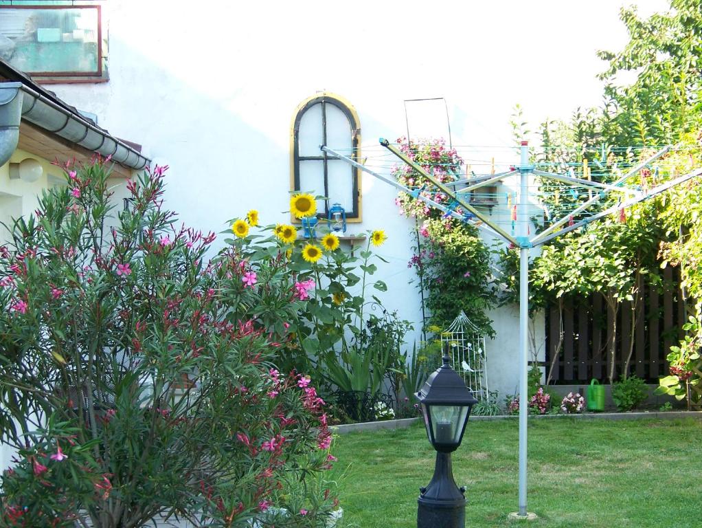 Zahrada ubytování Studio
