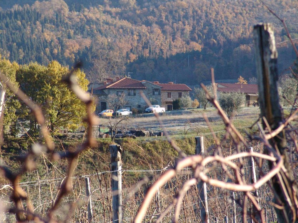 dom w środku pola z płotem w obiekcie Agriturismo Il Trebbio w mieście Pelago