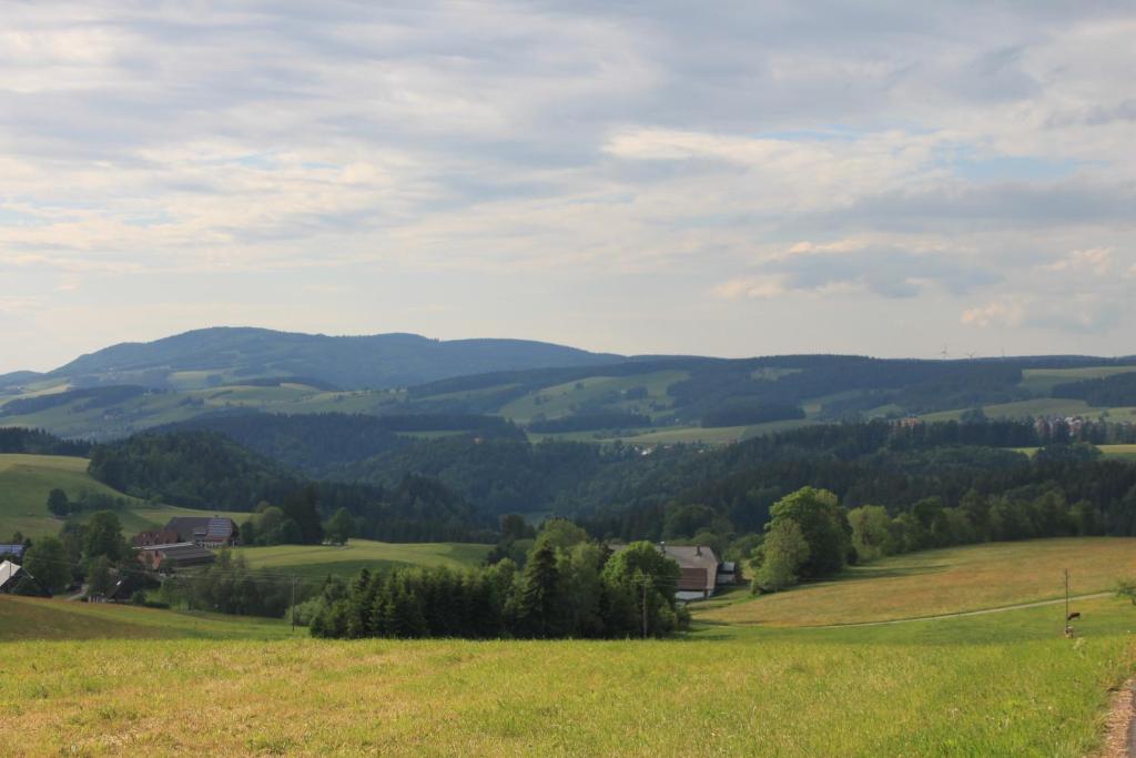 Příroda nedaleko hotelu