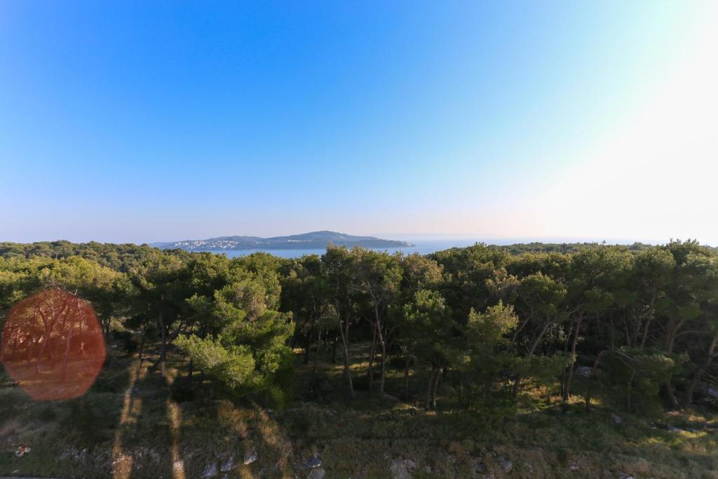 Príroda v okolí apartmánu