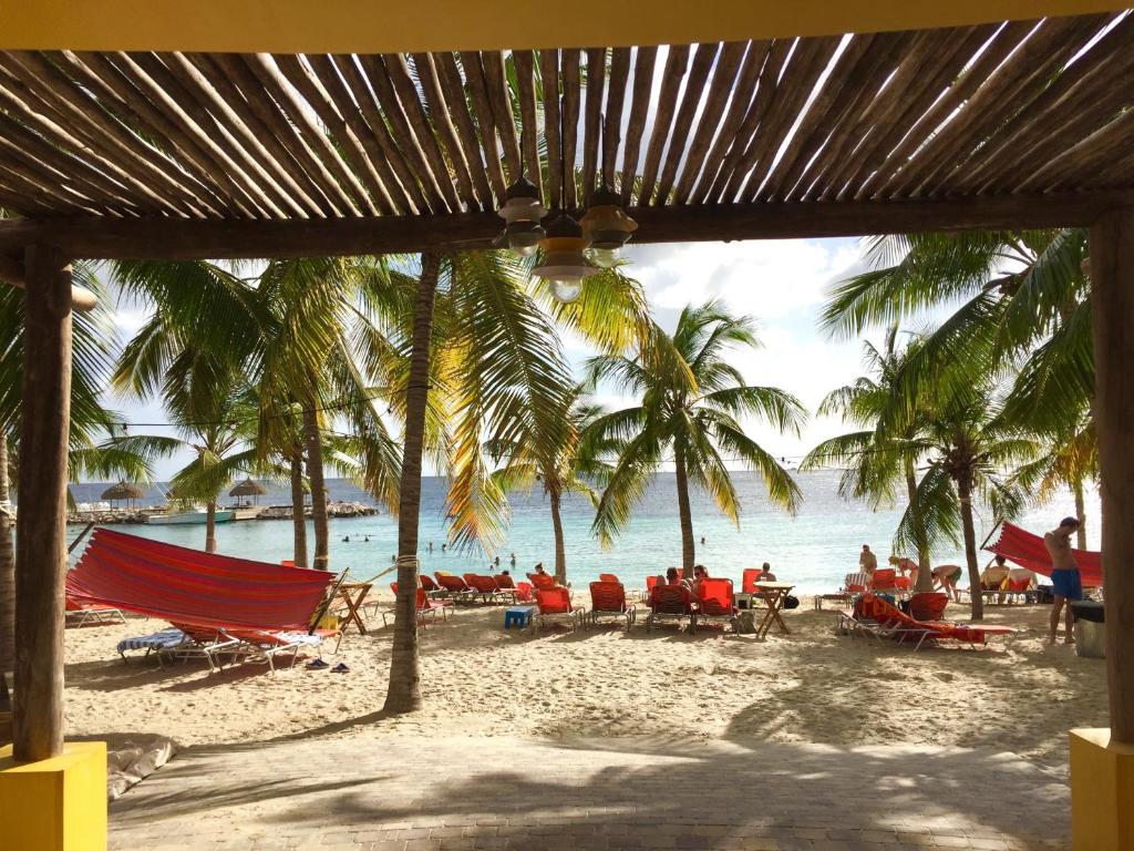 een strand met stoelen en palmbomen en de oceaan bij Blue Bay Beach Villas & Apartments in Blauw Baai