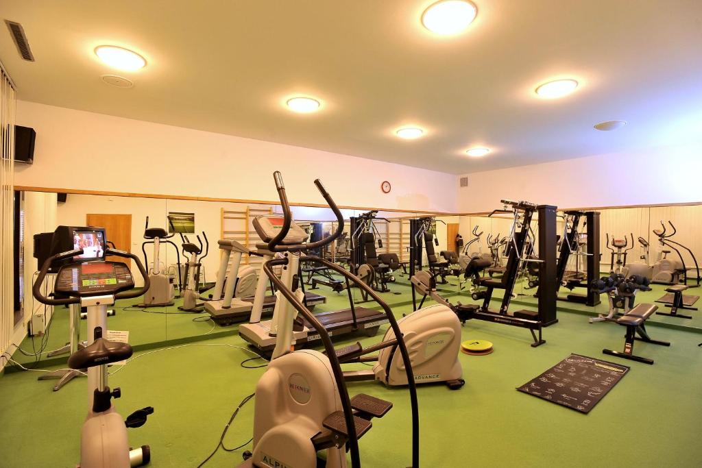 Fitness centrum a/nebo fitness zařízení v ubytování Hotel Břízky