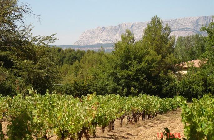 un vignoble avec des arbres et des montagnes en arrière-plan dans l'établissement Le Paradis de Clarisse, à Trets