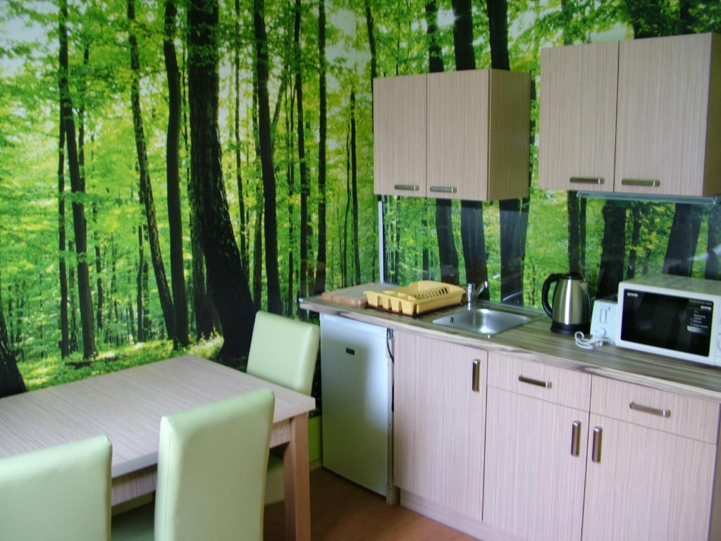 Kuchyňa alebo kuchynka v ubytovaní The Boys Apartman