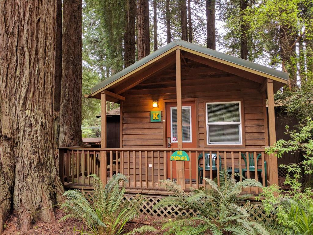 a cabin in the woods with a tree at Emerald Forest Cabins in Trinidad