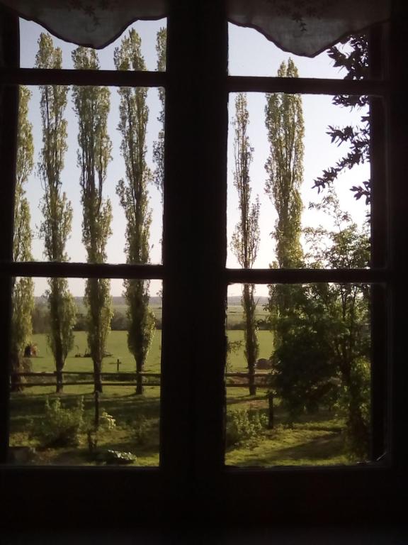 Zahrada ubytování La Ferme Des Vignes