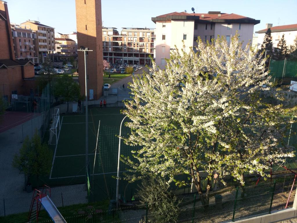 アルバにあるConte Romita Apartmentの都内のテニスコートの木
